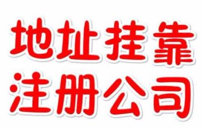 代理記賬一年800元，記賬會(huì)計(jì)代理